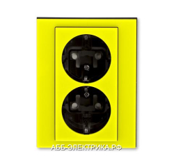 Розетка 2-ая электрическая с заземлением с защитными шторками, цвет Желтый/Дымчатый черный, Levit, A